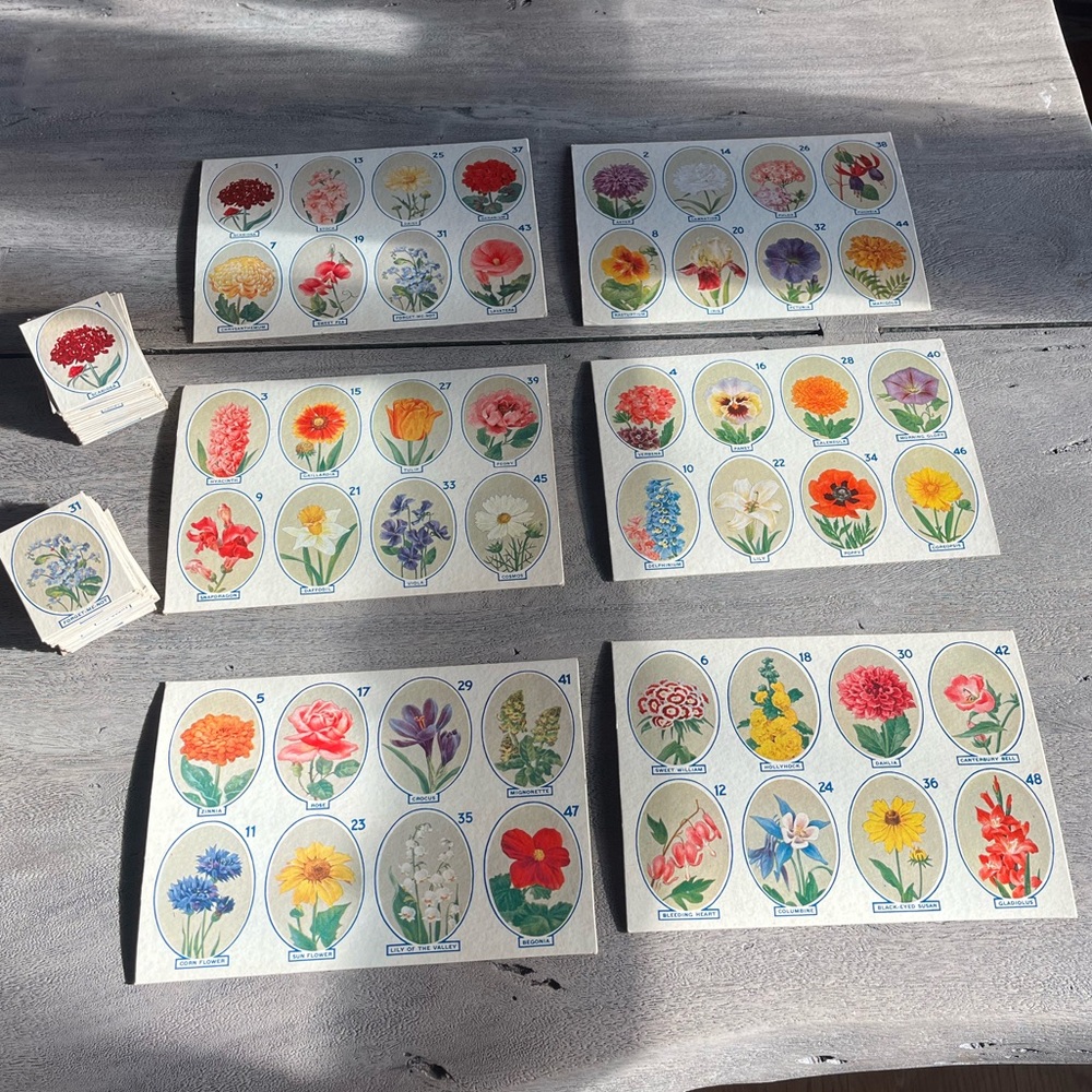 Antique Flower Lotto Game c.1915–1925 Abercrombie & Fitch Madison Ave